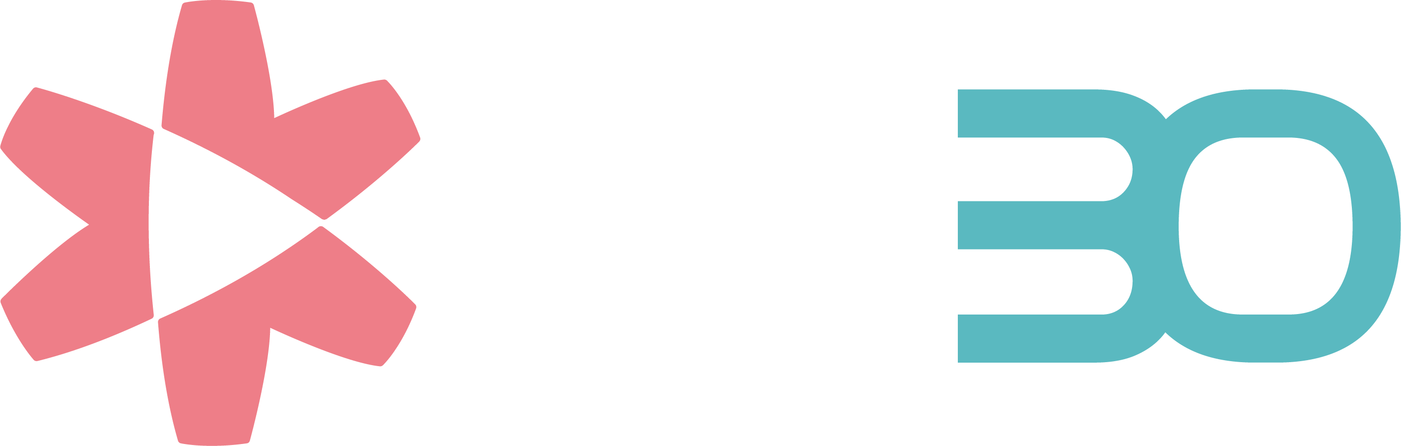 logo_vebo_white